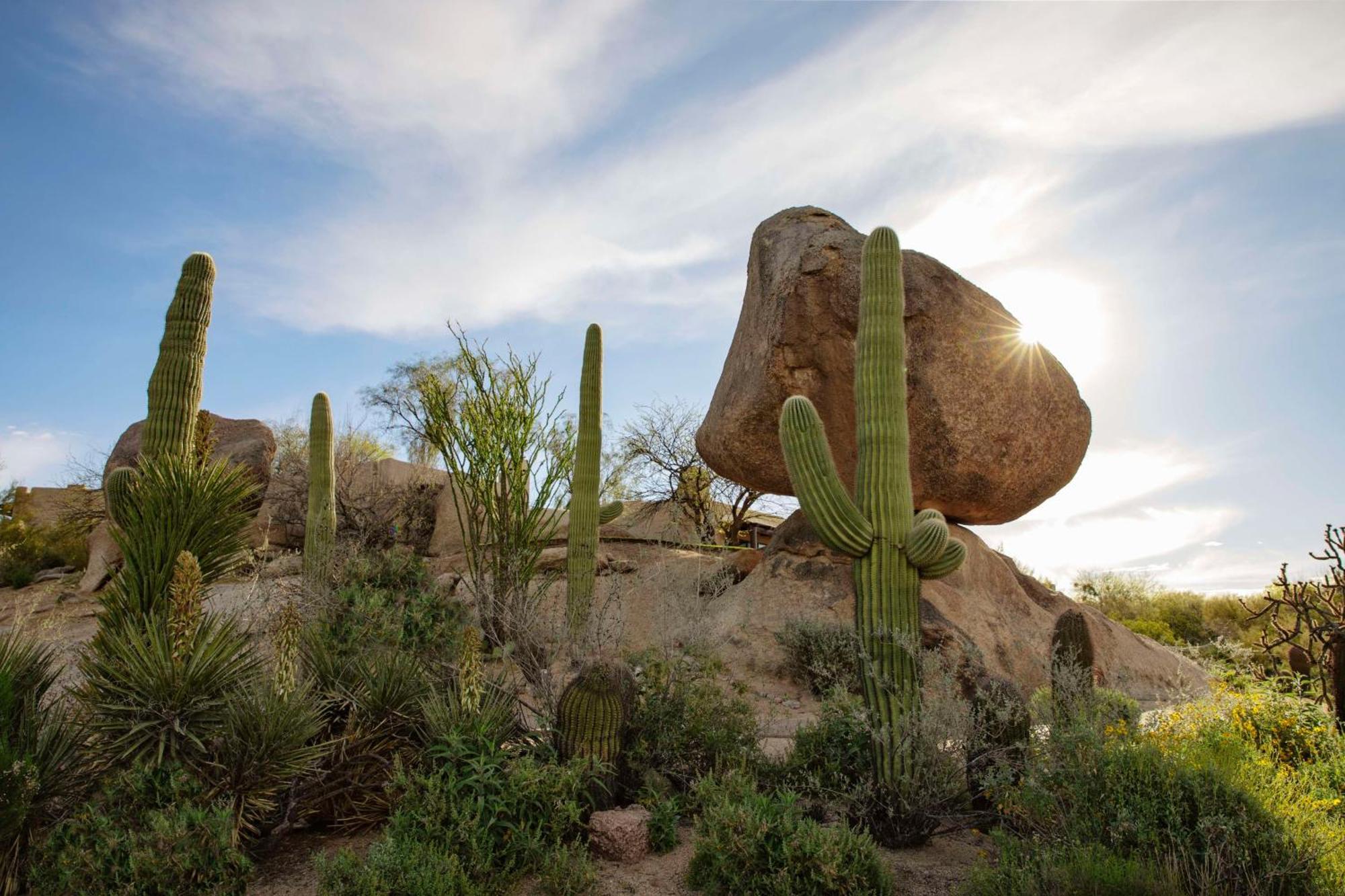 Boulders Resort & Spa Scottsdale, Curio Collection By Hilton Eksteriør billede